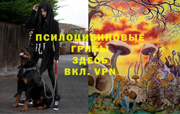 мяу мяу кристалл Армянск