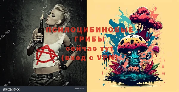 не бодяженный Аркадак